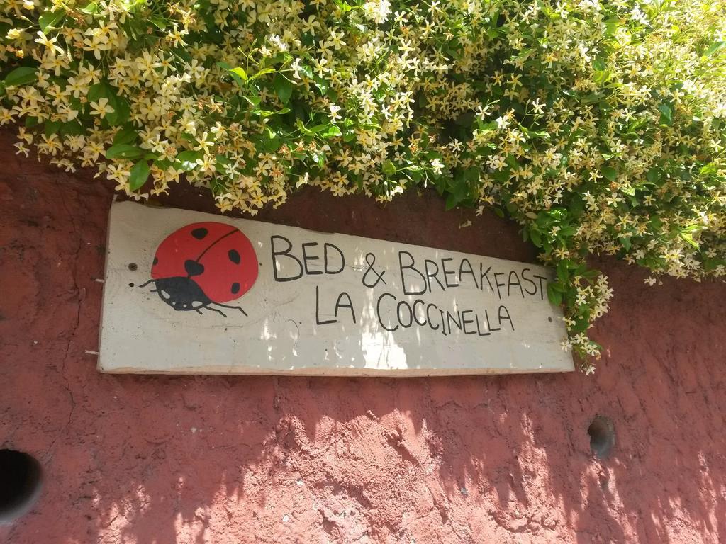 La Coccinella Di Silvia E Simone Massarosa